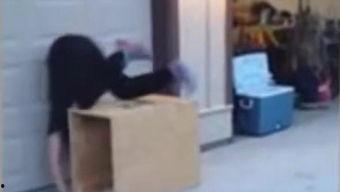 成人搞鸡视频,搞鸡视频背后的真相与反思