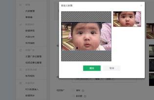 小白做成人步骤视频,轻松掌握成人技能的步骤解析