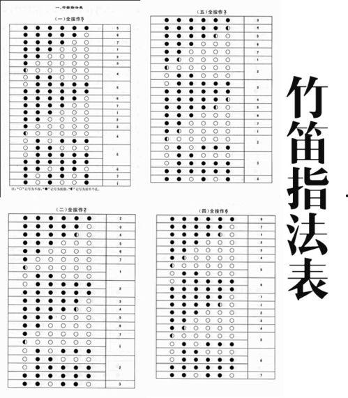 竹笛成人初学者视频,视频教程解析与技巧分享