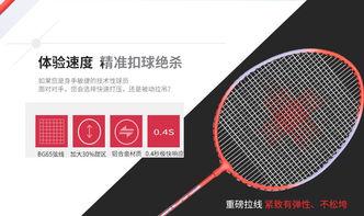 成人吊球入门教学视频,成人吊球教学视频精华解析