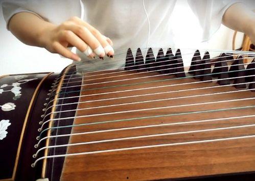 成人古筝古琴怎么学好视频,视频教程深度解析