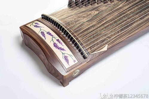 成人古筝古琴怎么学好视频,视频教程深度解析