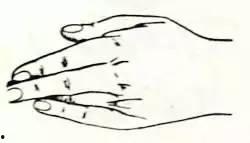 成人训练手指灵活度视频,提升手指灵活度的成人训练视频攻略