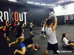 成人擒拿格斗培训视频,成人擒拿格斗技巧深度剖析