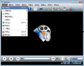 成人sm视频教程,专业视频教程深度解析