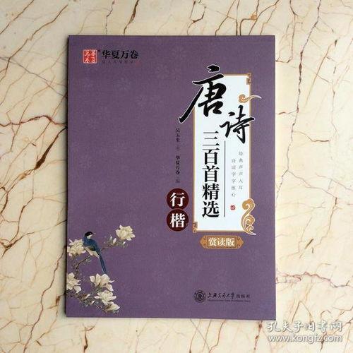 字帖成人自学教程视频,轻松掌握书法艺术